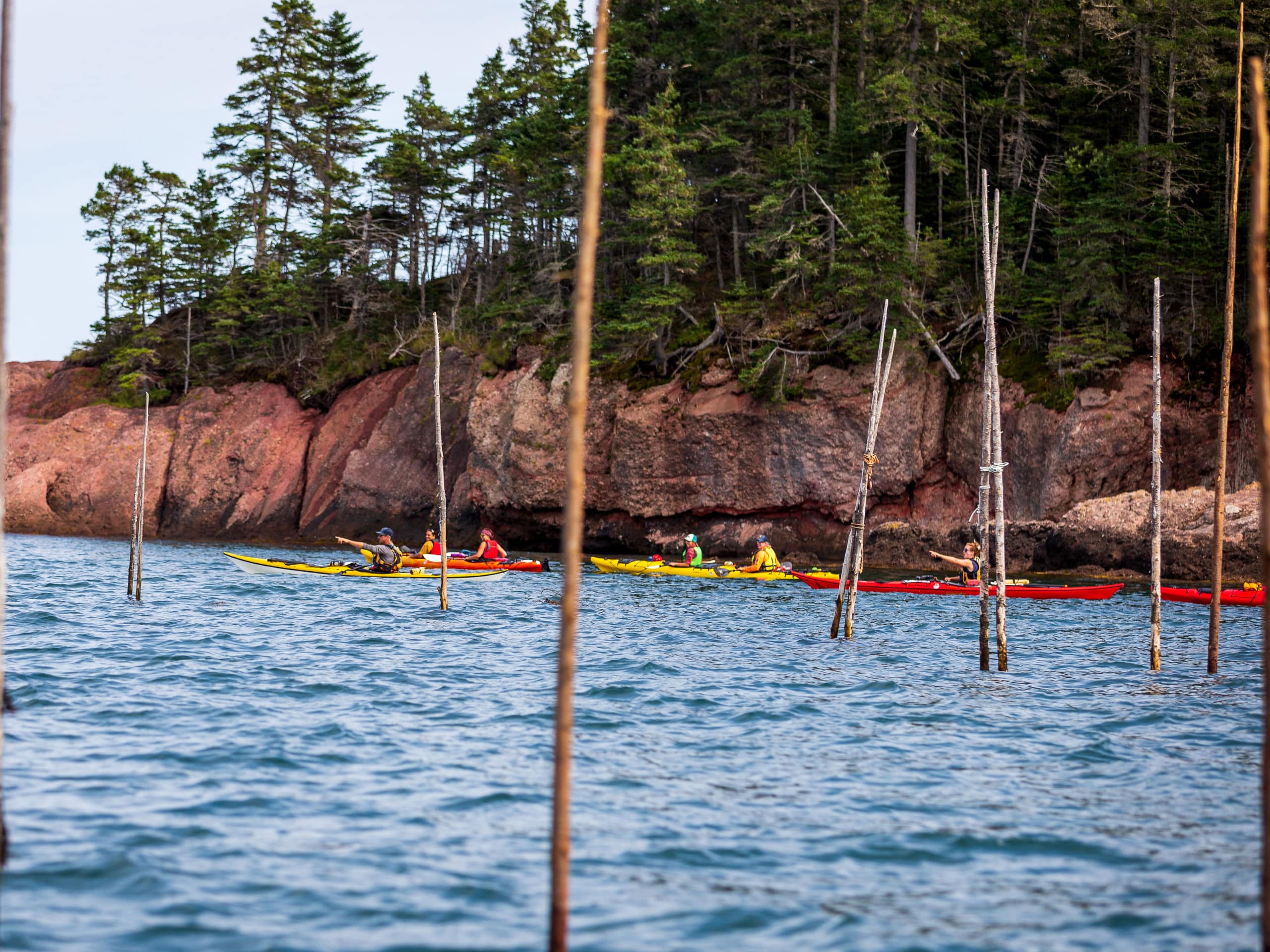 Bay of Fundy Sea Kayaking-9