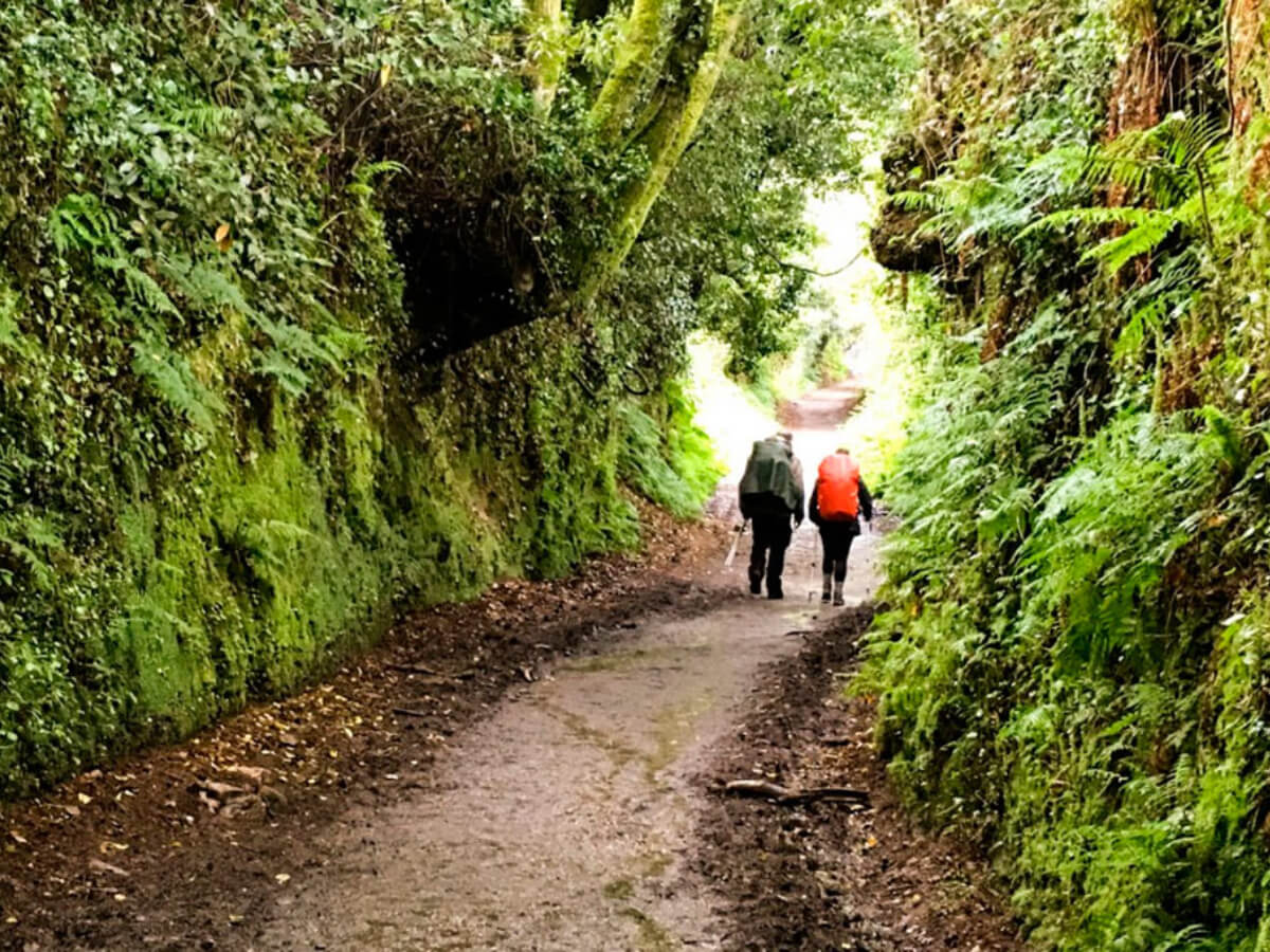 Camino de Santiago Northern Way-25