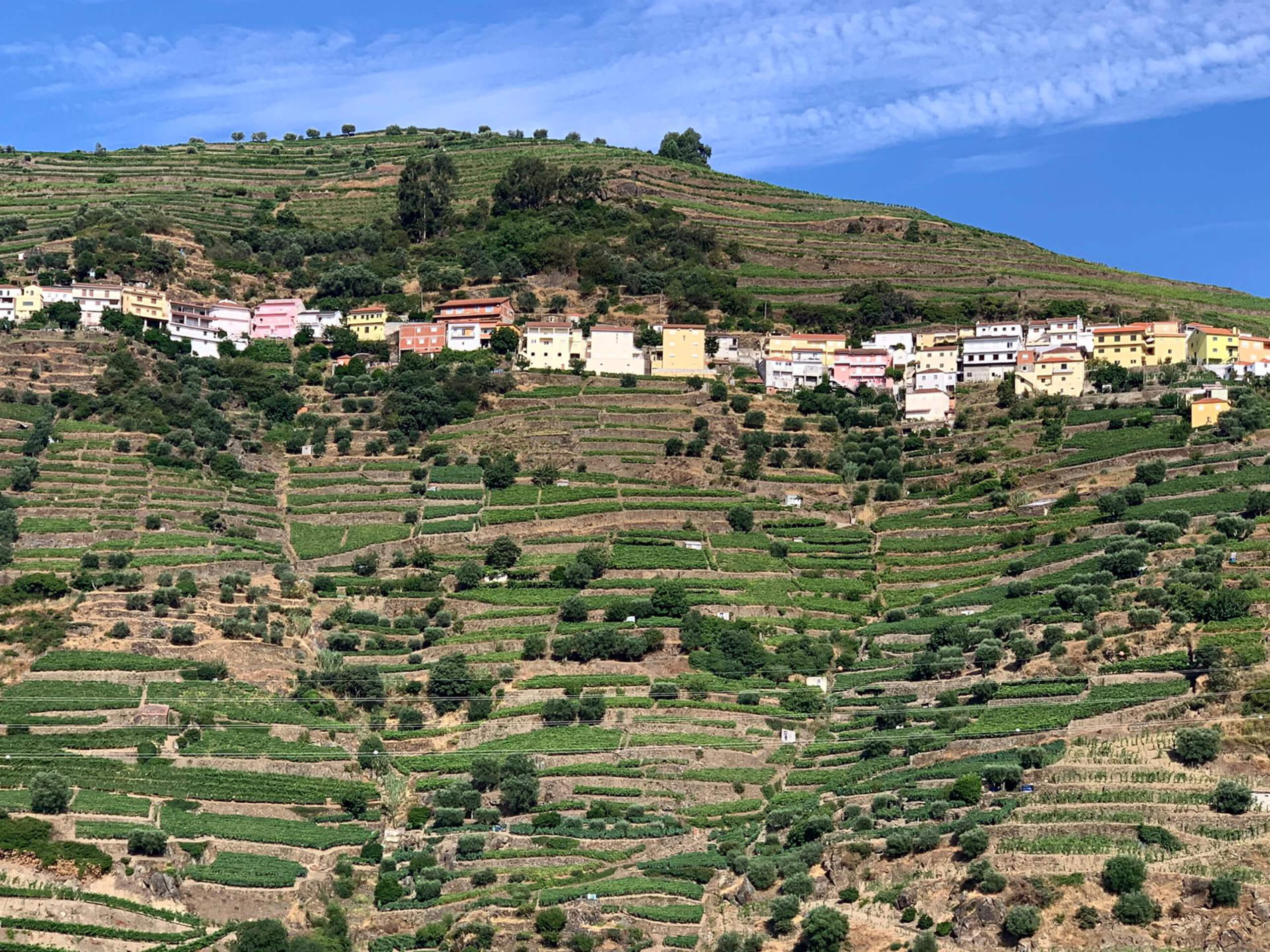 Cycling the Mountains and Douro Valley-22