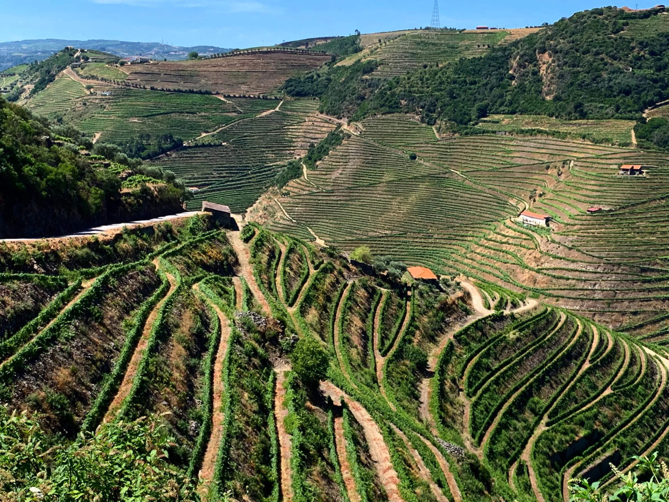Cycling the Mountains and Douro Valley-23