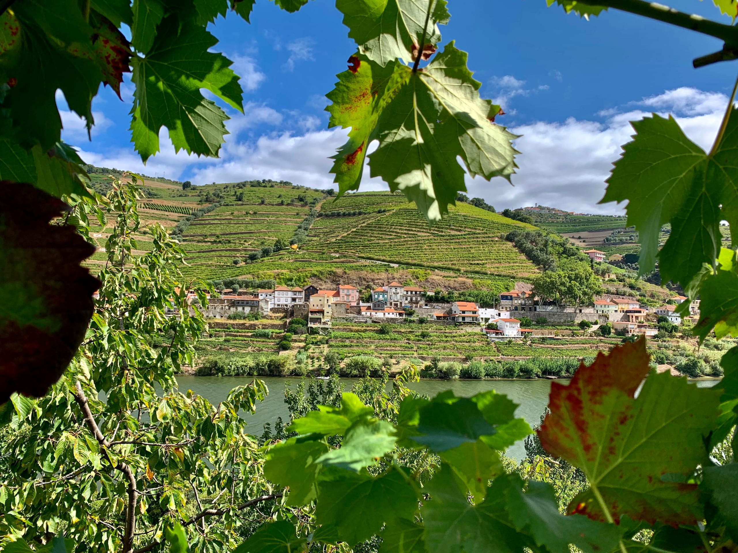 Cycling the Mountains and Douro Valley-4