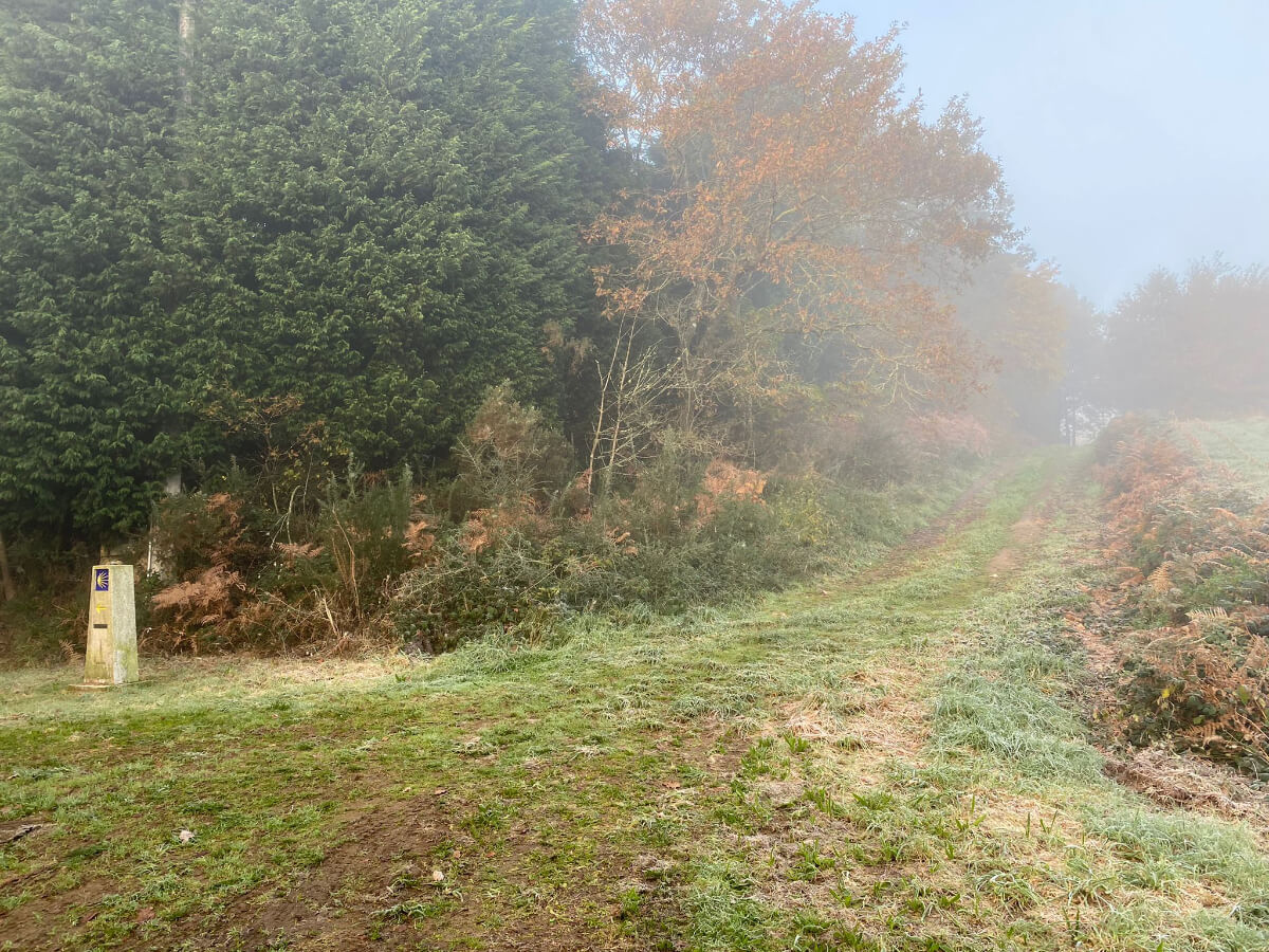 English Way (Camino Ingles) from A Coruña-5