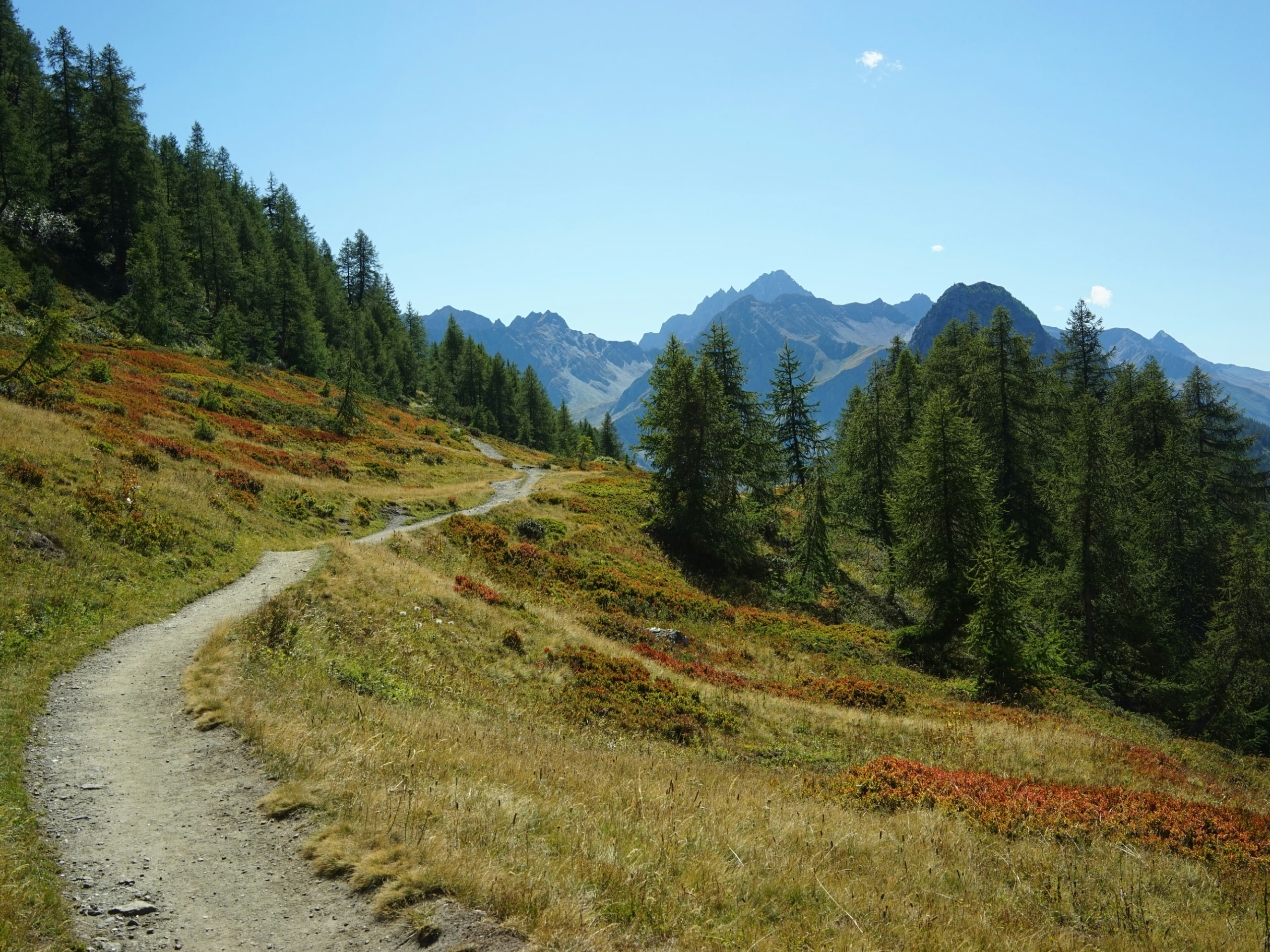 Guided Tour du Mont Blanc-5