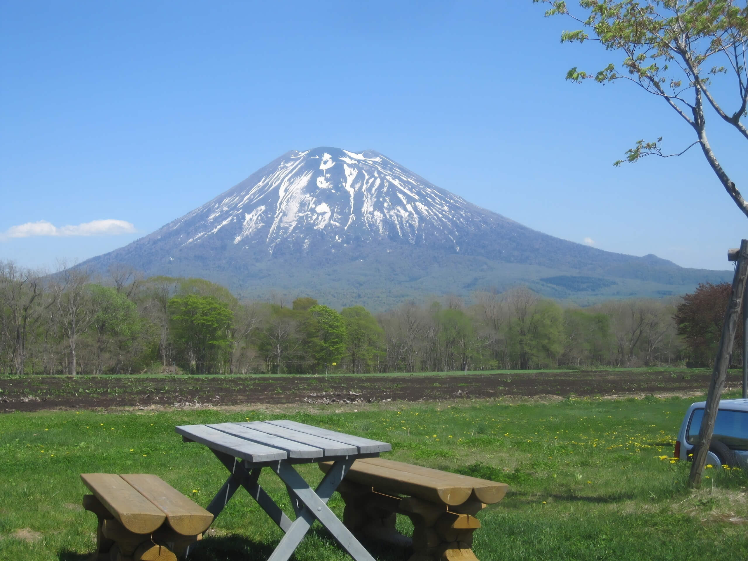 Niseko Spring