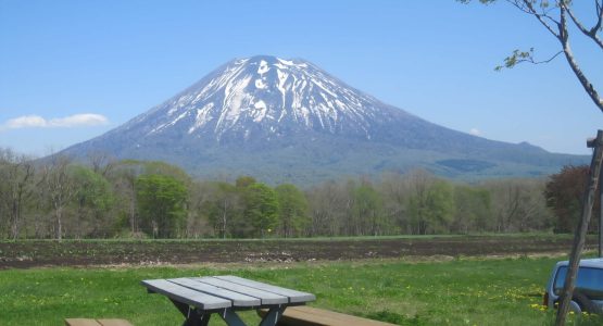 Niseko Spring