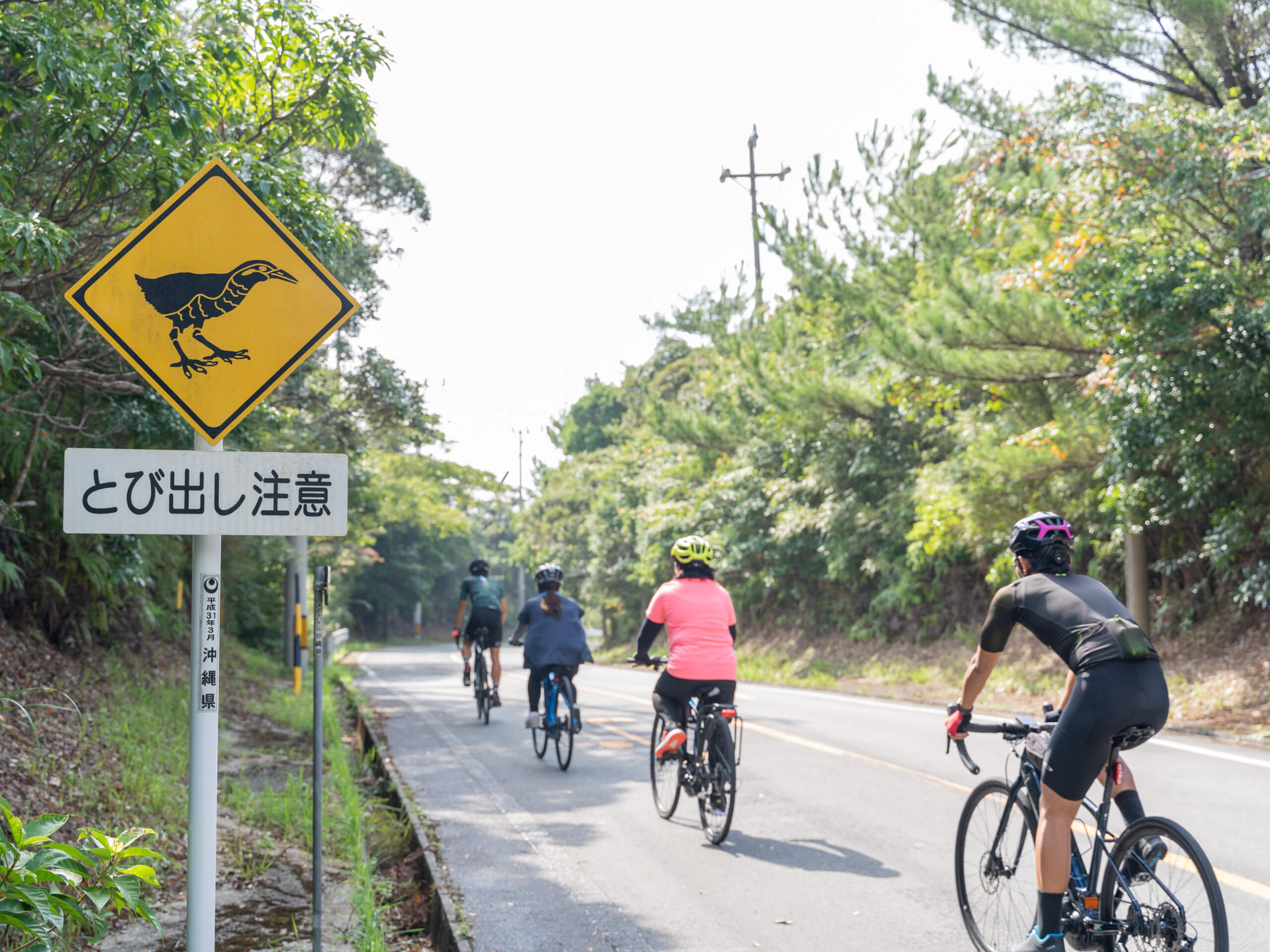 Okinawa 4-day E-bike Tour-23