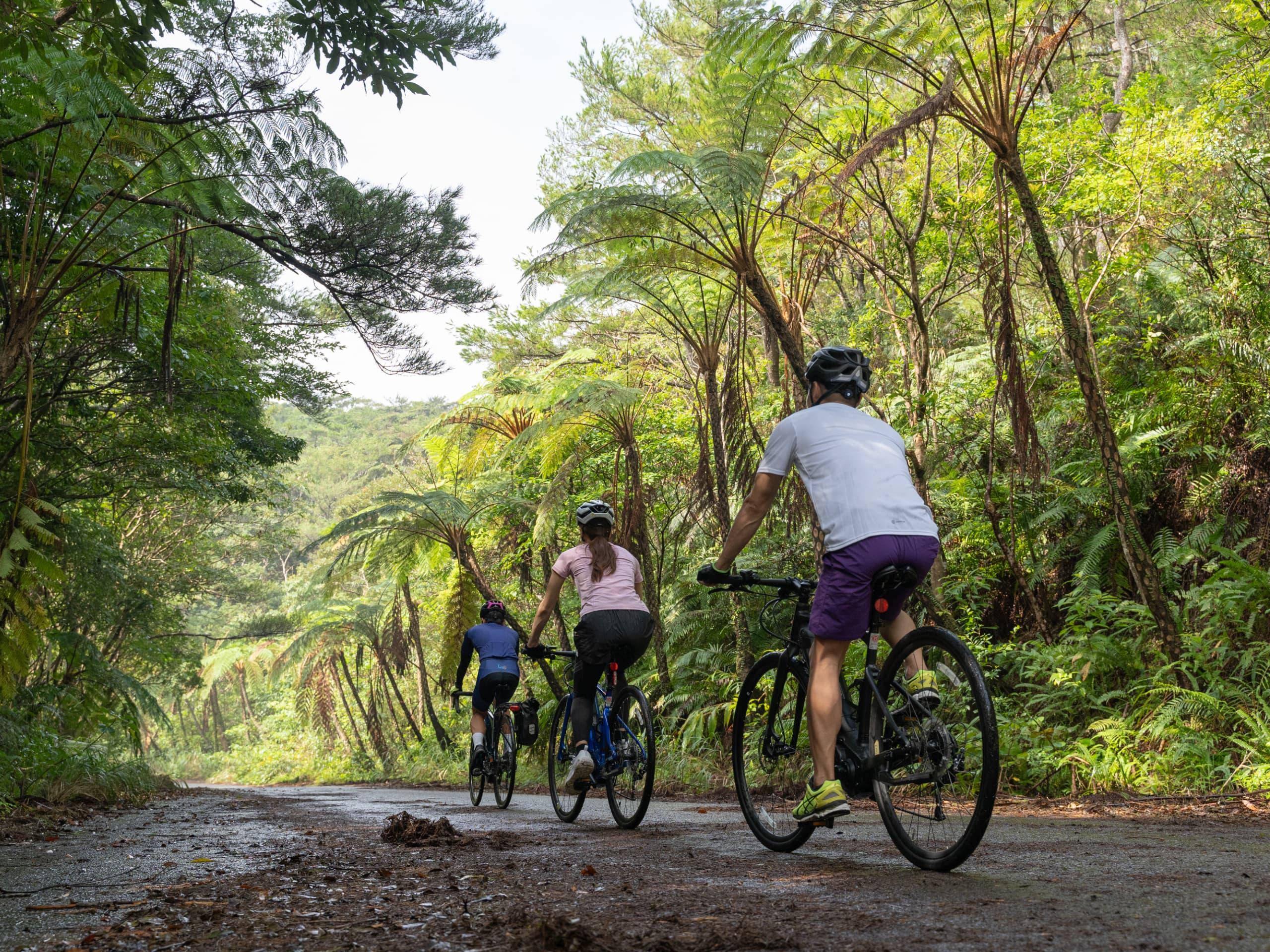 Okinawa 4-day E-bike Tour-7