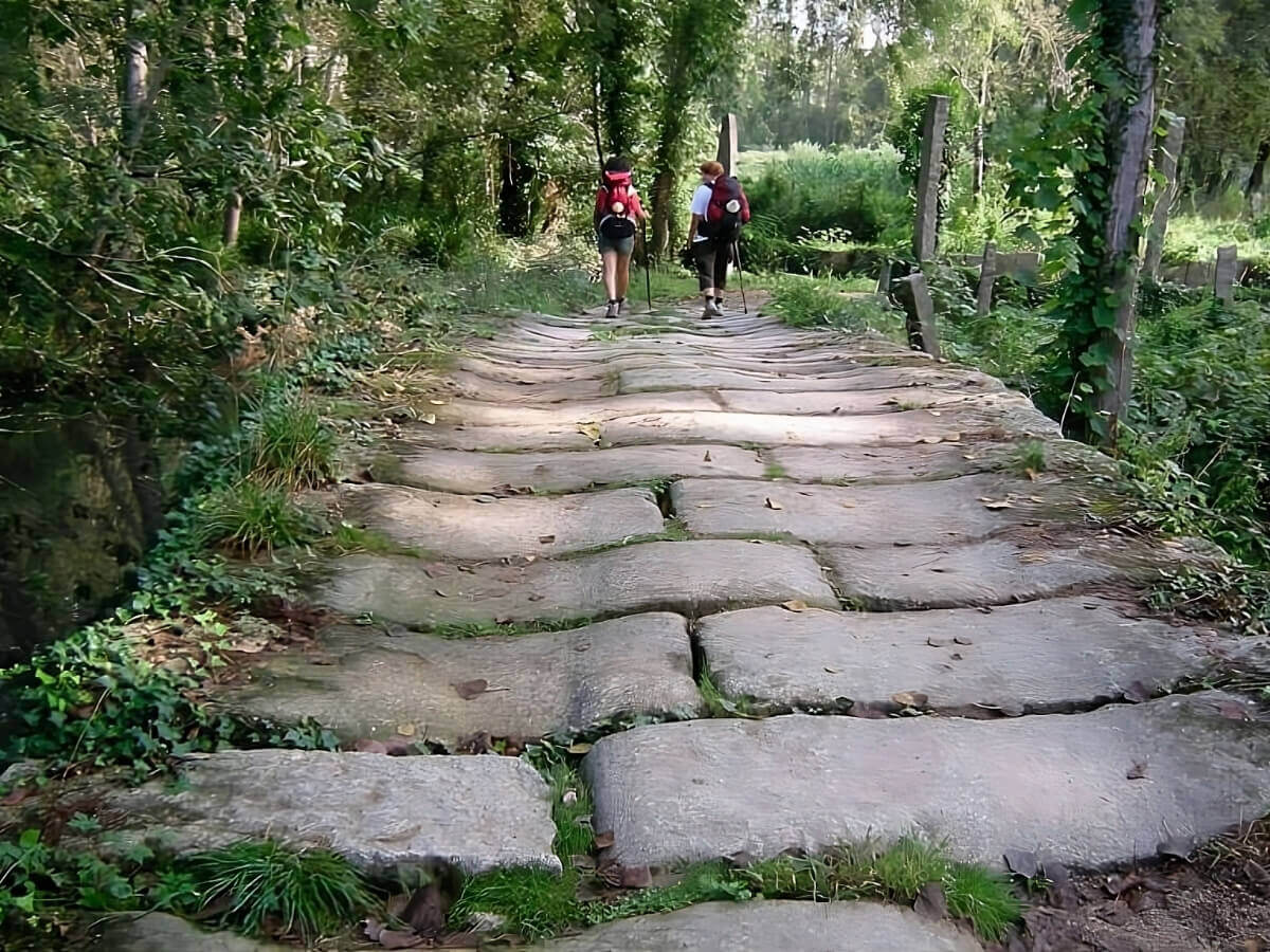 Portuguese Camino-15