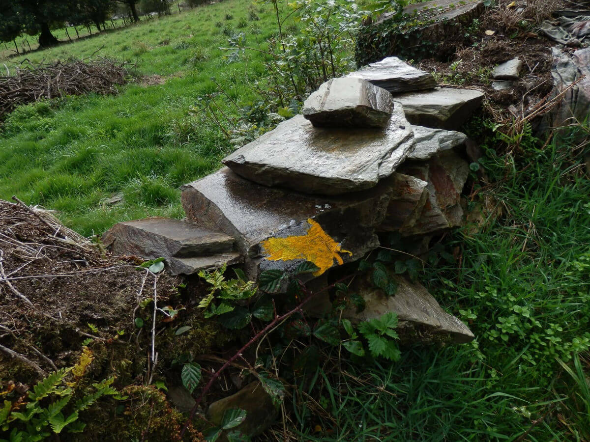 Portuguese Camino-16