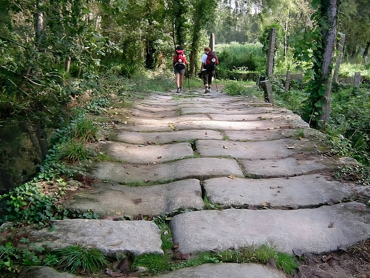 Portuguese Camino to Santiago: Last 100km-3