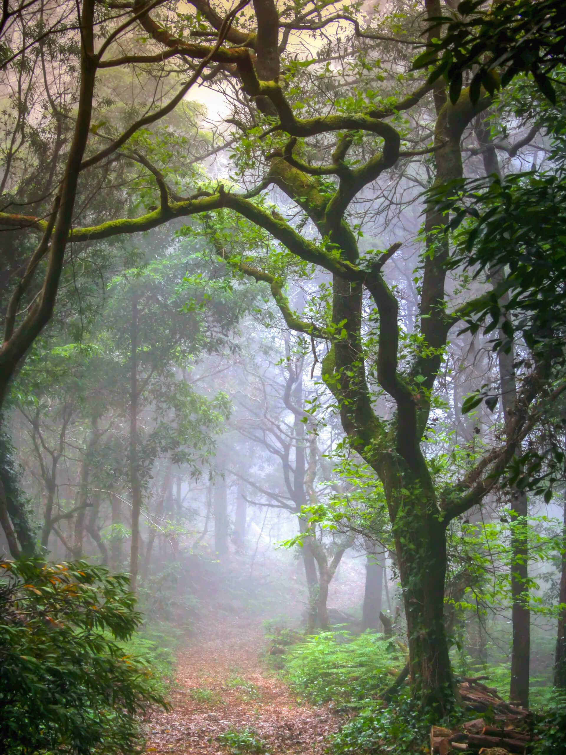 Sintra 5-day Walking-18