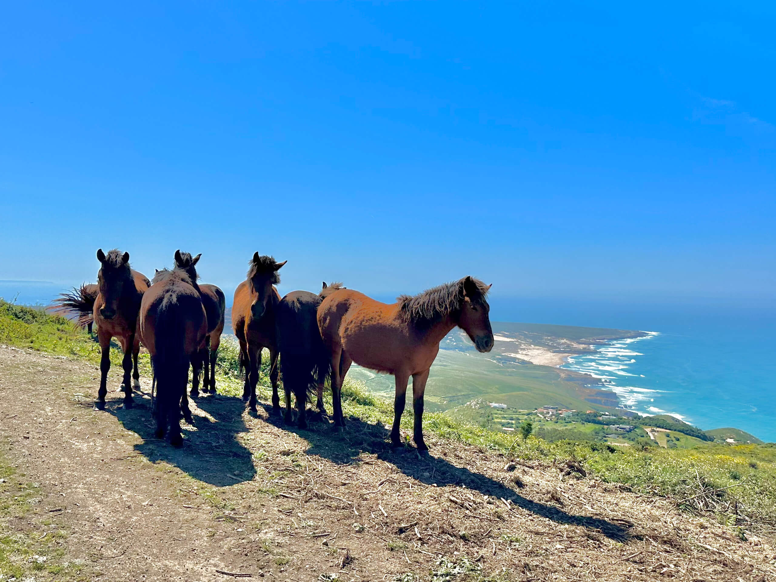 Sintra Heritage and Coastal Trails-12