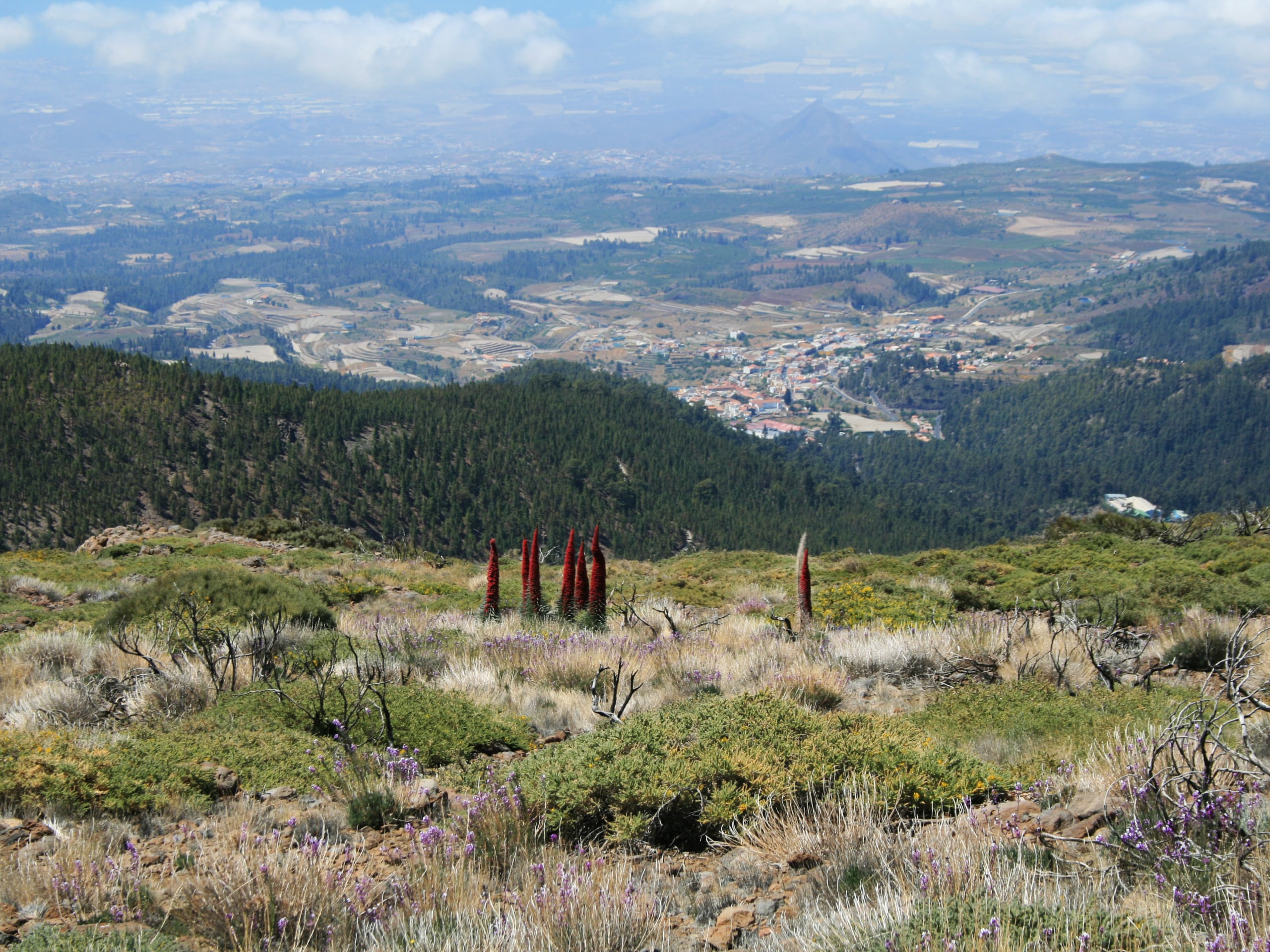 Tenerife Hiking Tour-13