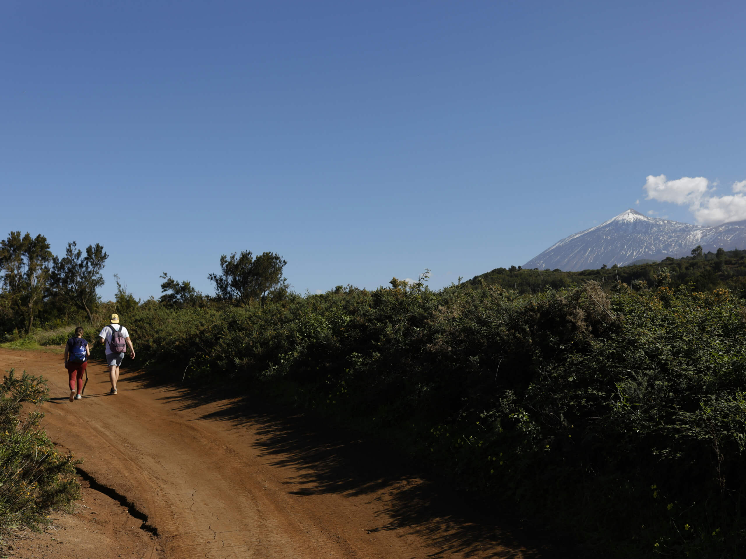 Tenerife Hiking Tour-14