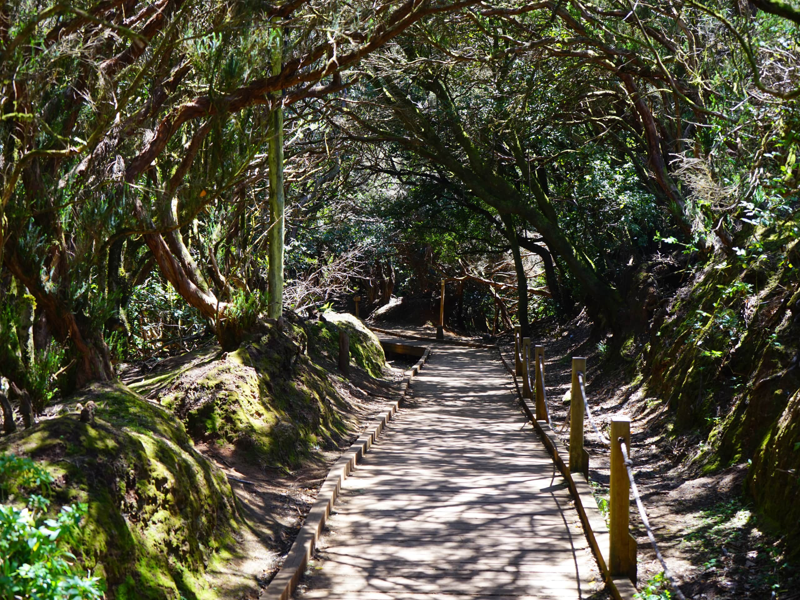 Tenerife Hiking Tour-2