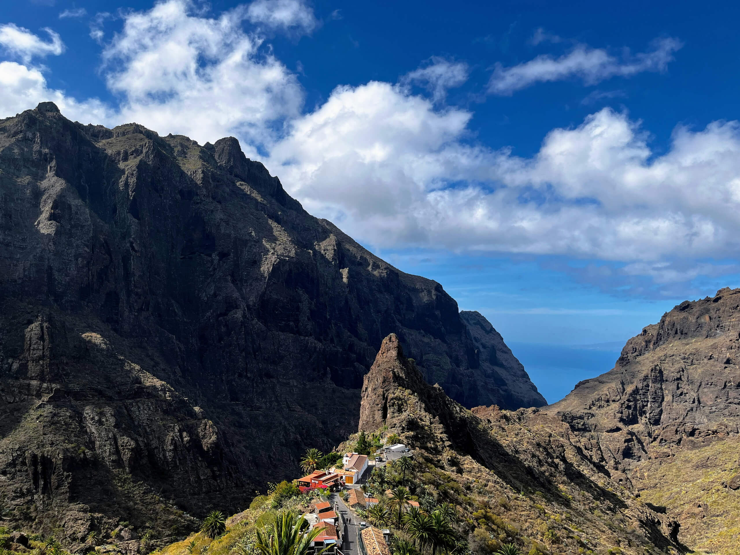Tenerife Hiking Tour-8