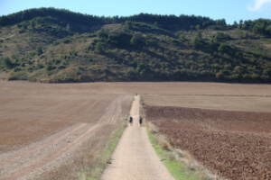 Camino Frances from Saint Jean Pied de Port to Logroño