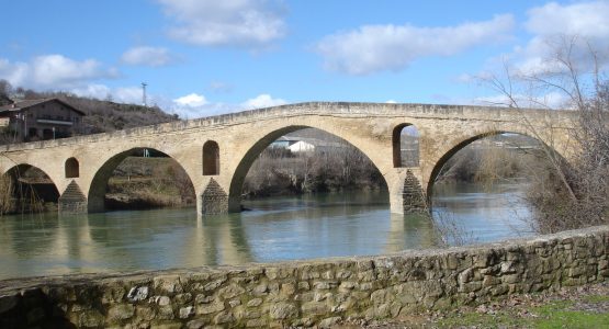 Camino Frances from Saint Jean Pied de Port to Logroño-1