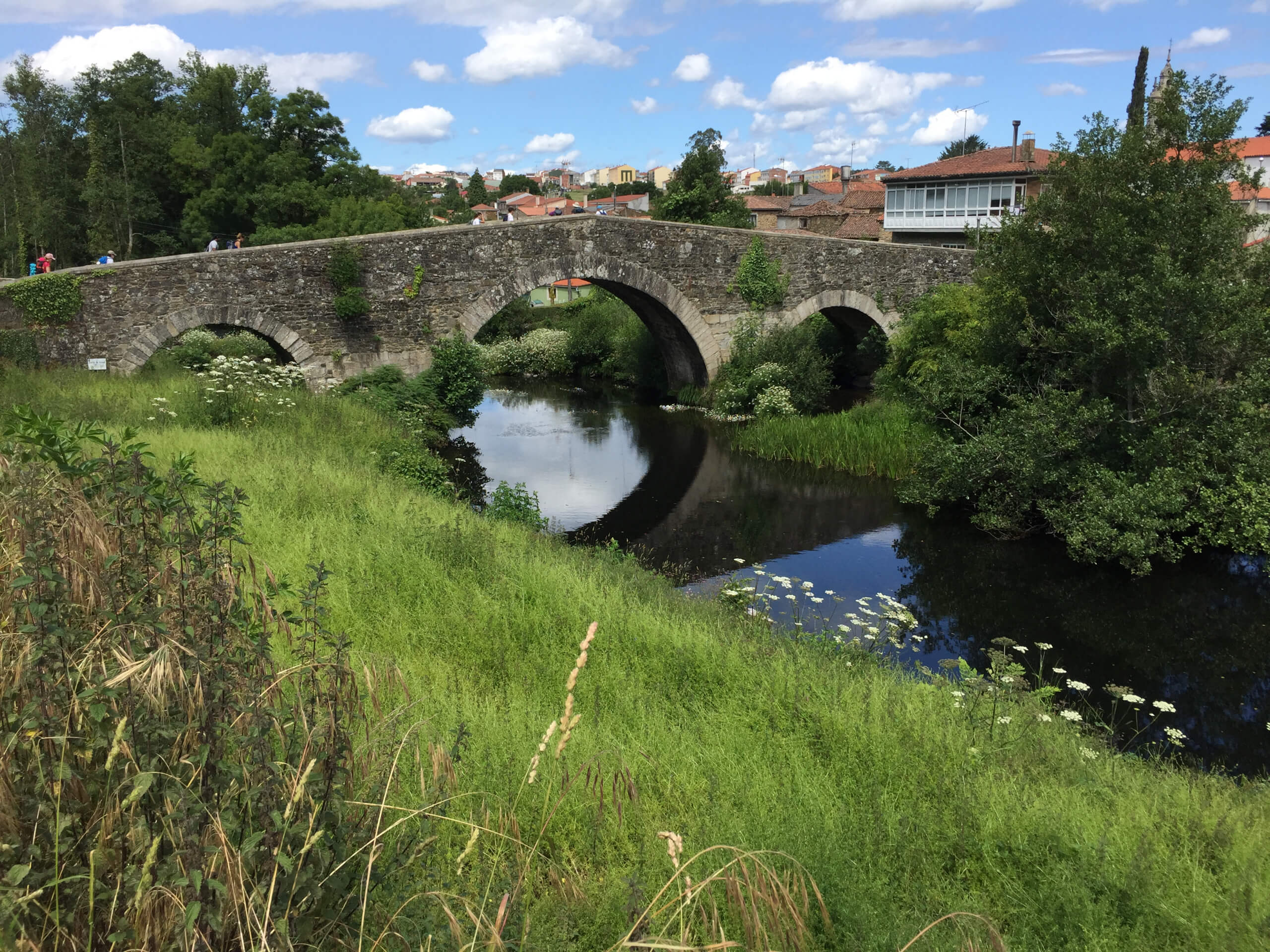 Cycling the French Camino from León to Santiago-7