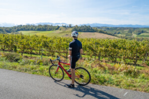 Béarn and French Basque Country E-bike Tour