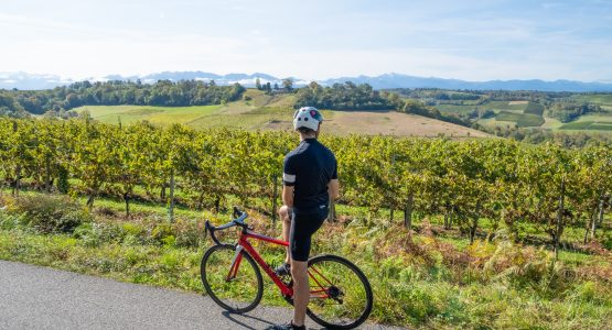 Béarn and French Basque Country E-bike Tour-1