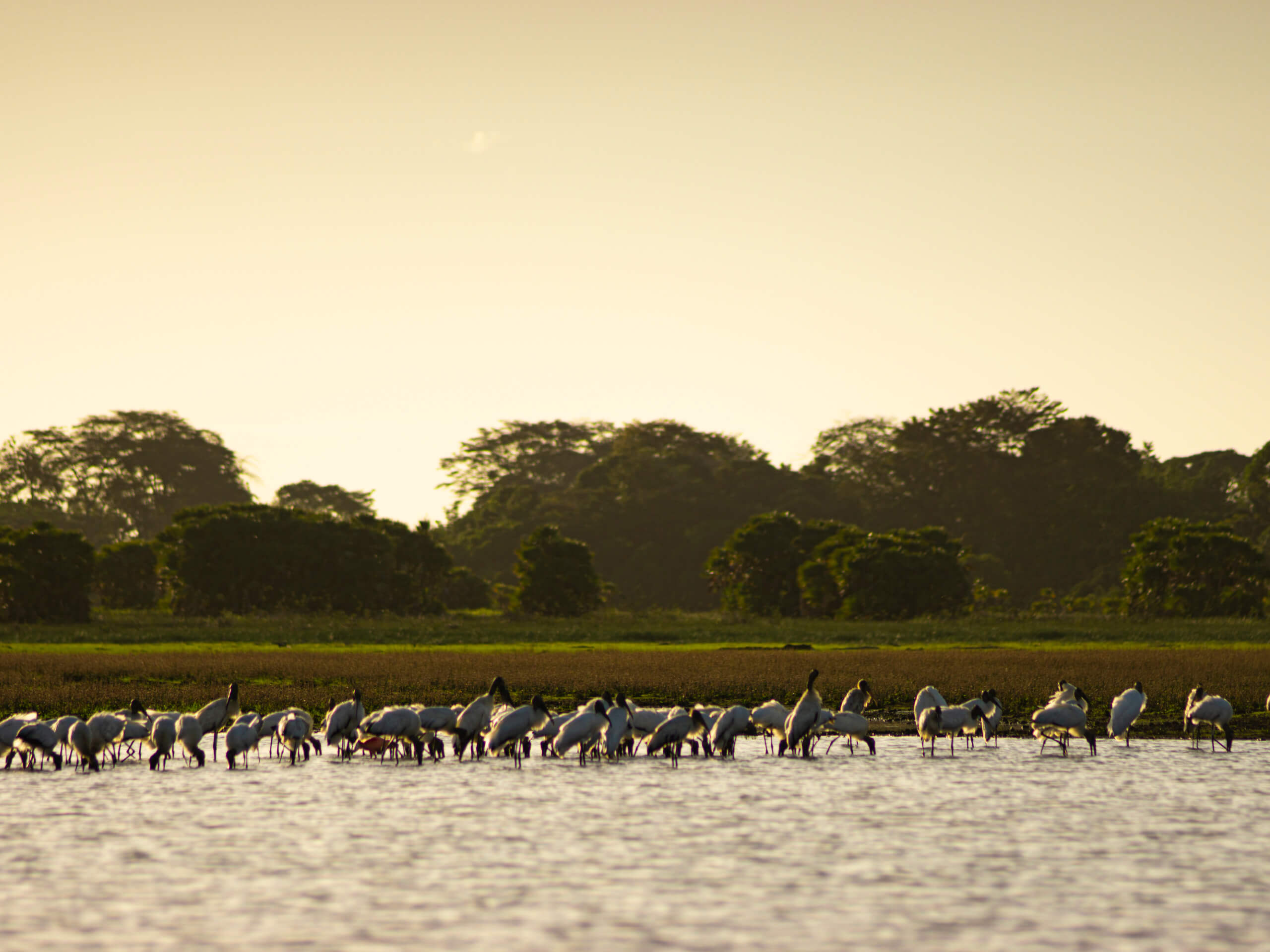 Costa Rica’s Northern Route Adventure-1