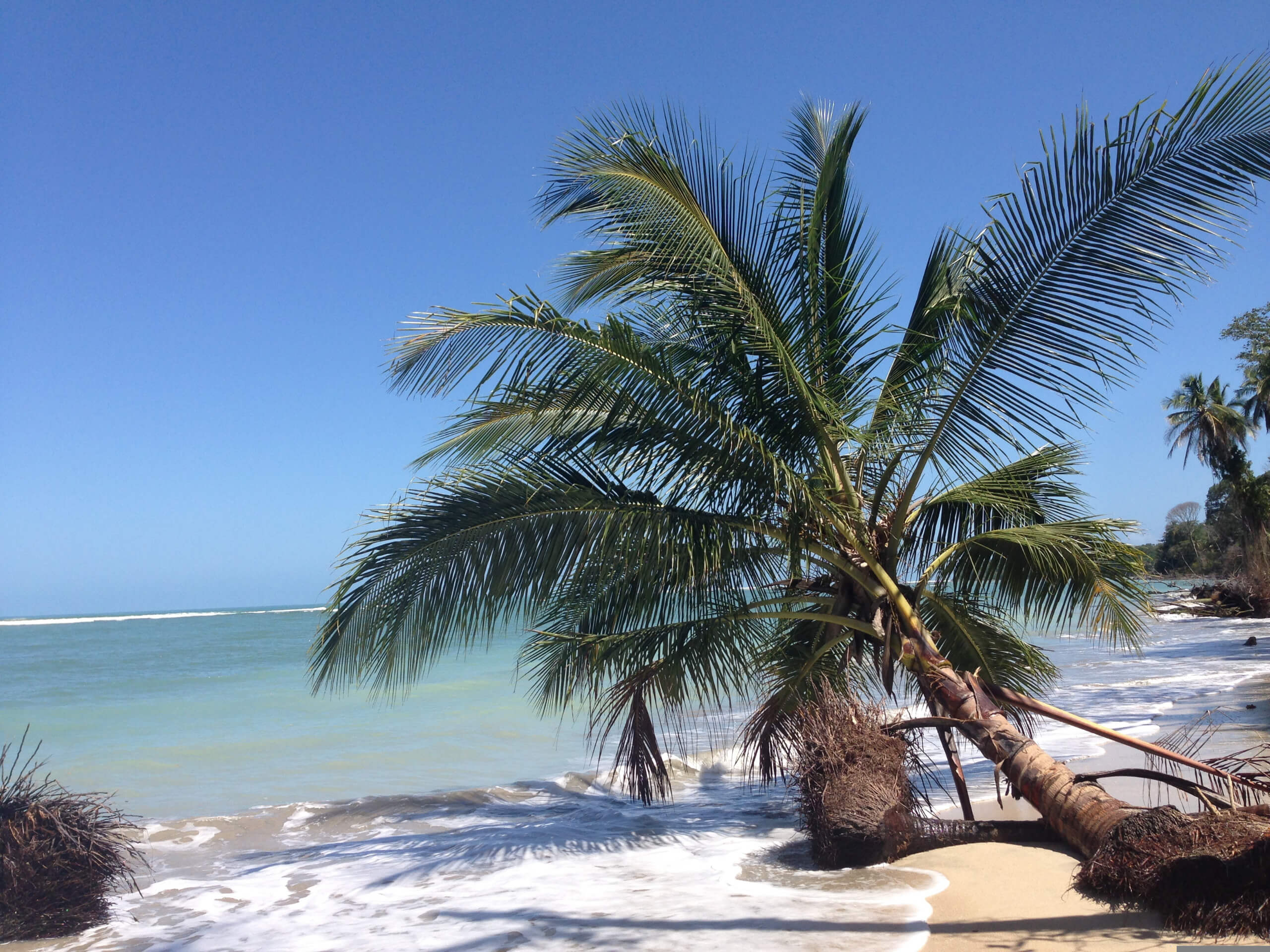 Costa Rica’s Northern Route Adventure-6