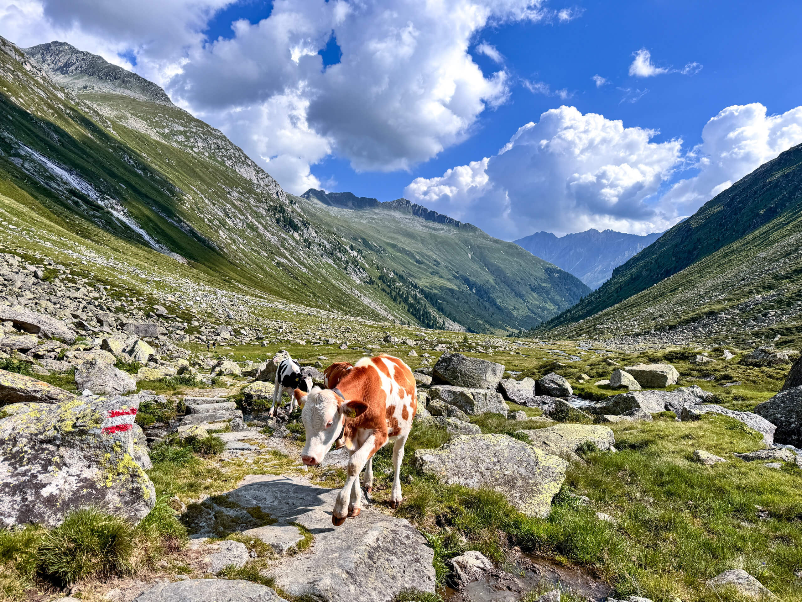 Hohe Tauern National Park Hiking Tour-12