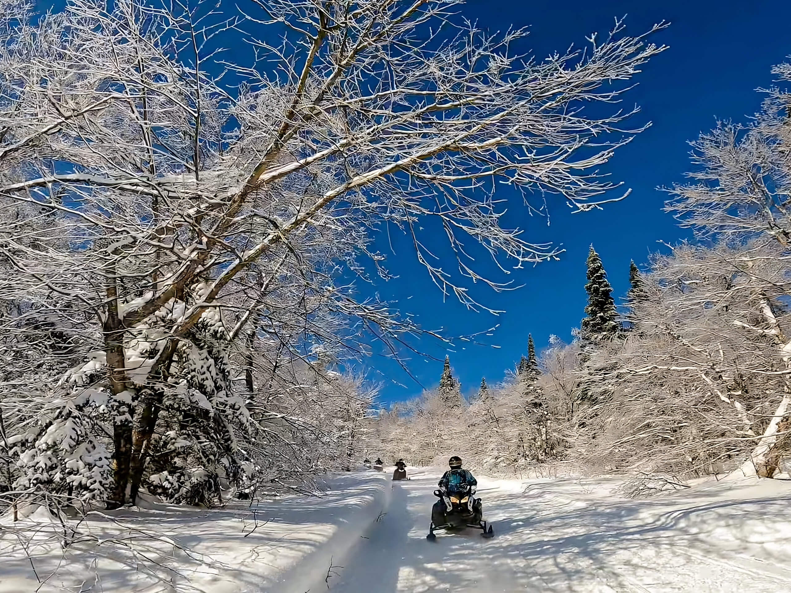 5-Day Classic Snowmobile Tour in Laurentians-1