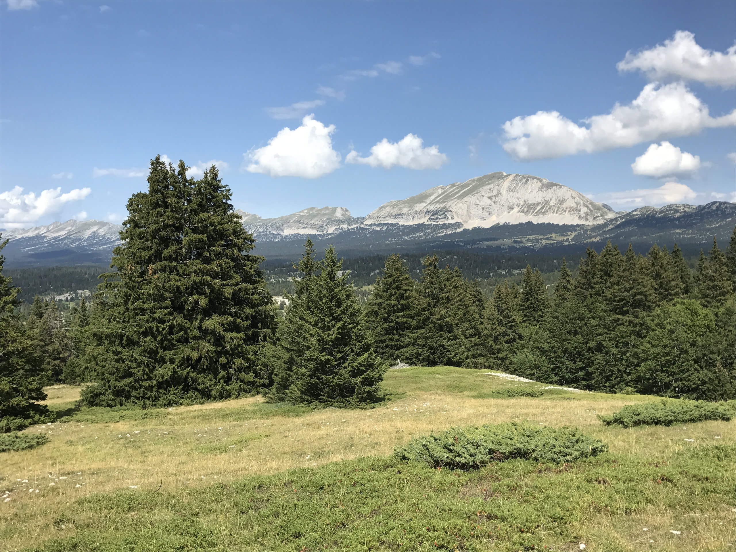 Hiking in Vercors National Park-6
