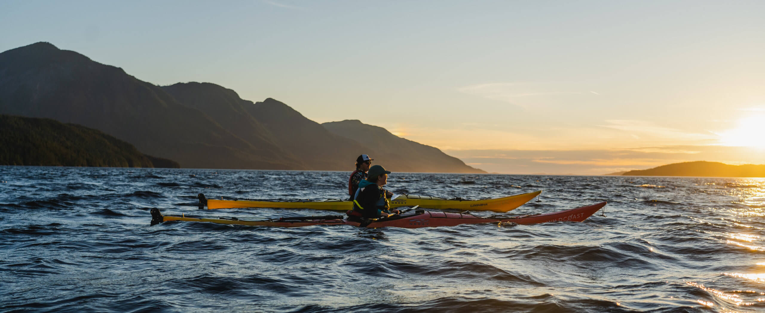 Whales & Bears Kayaking Tour