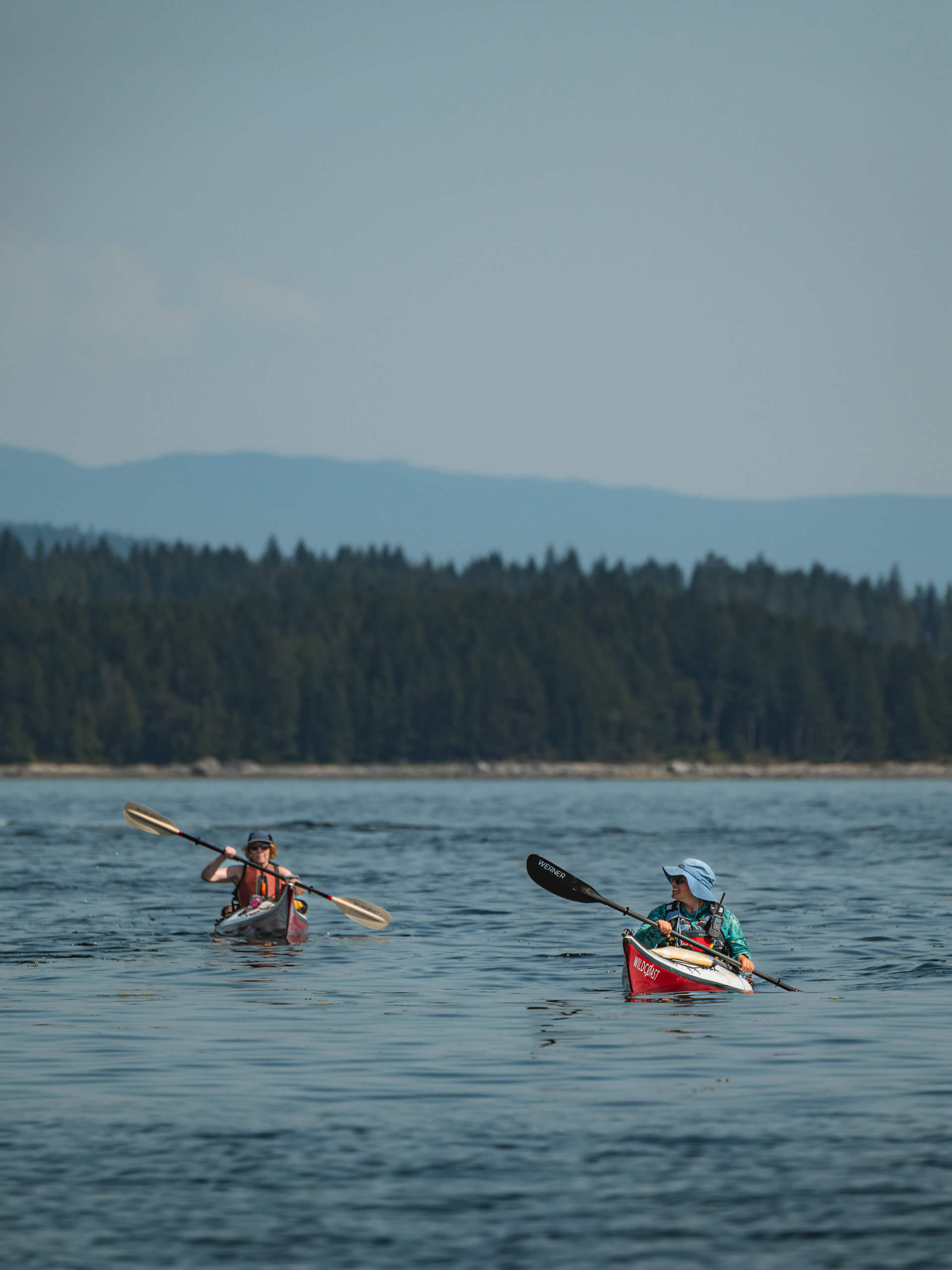 Discovery Islands Kayaking Tour-8