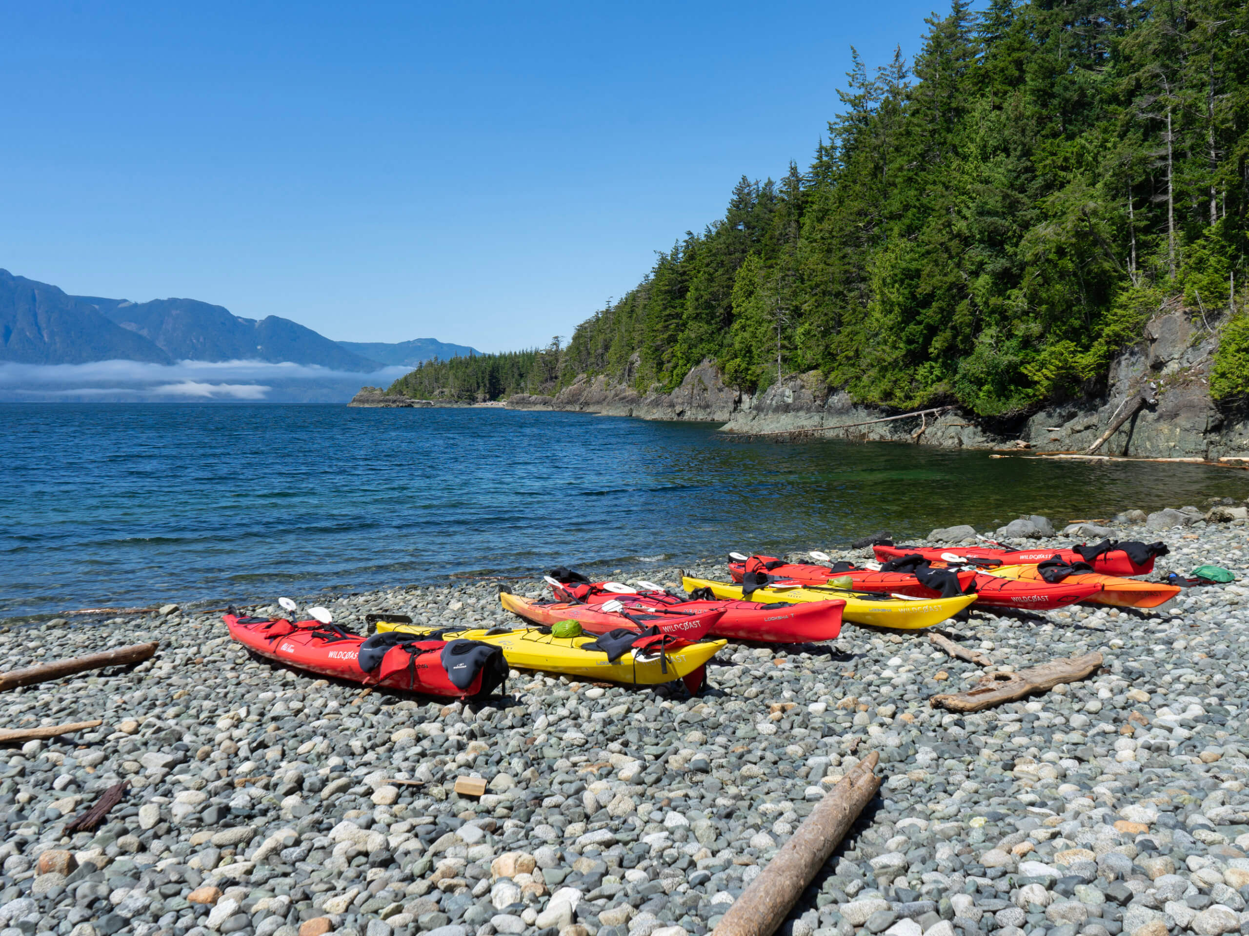Orca Camp Kayak Tour-4