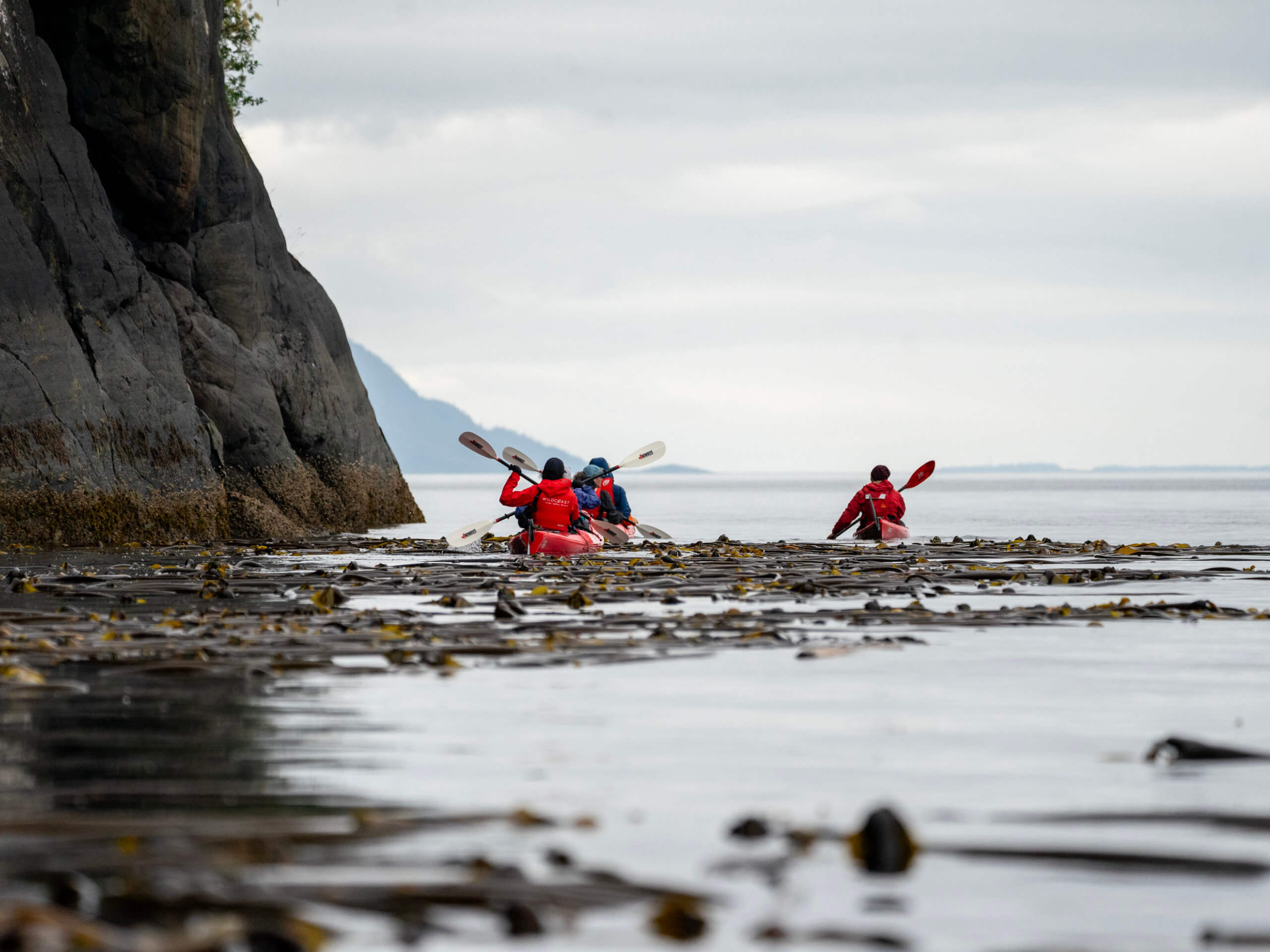 Orca Camp Kayak Tour-5