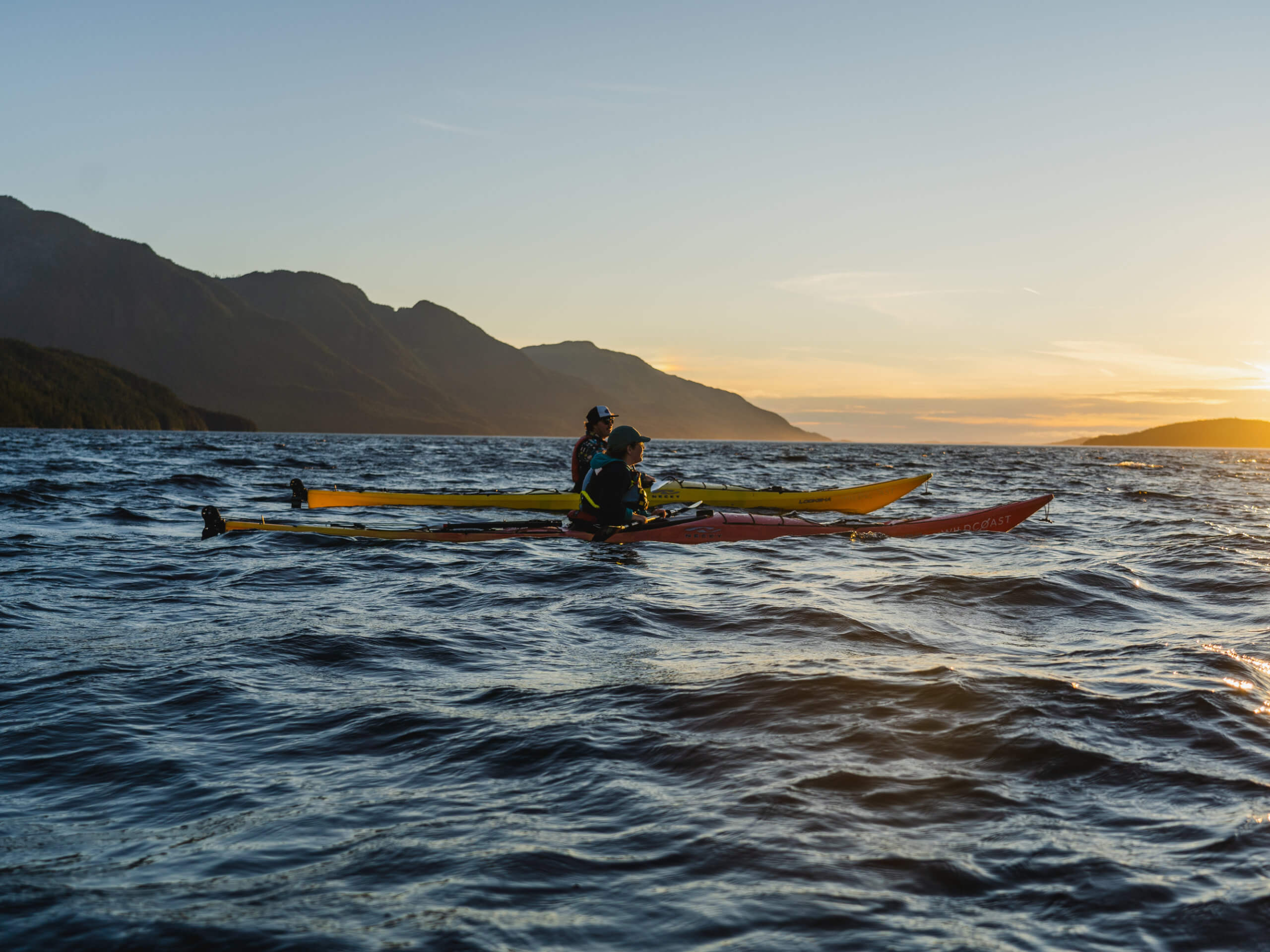 Whales & Bears Kayaking Tour-1