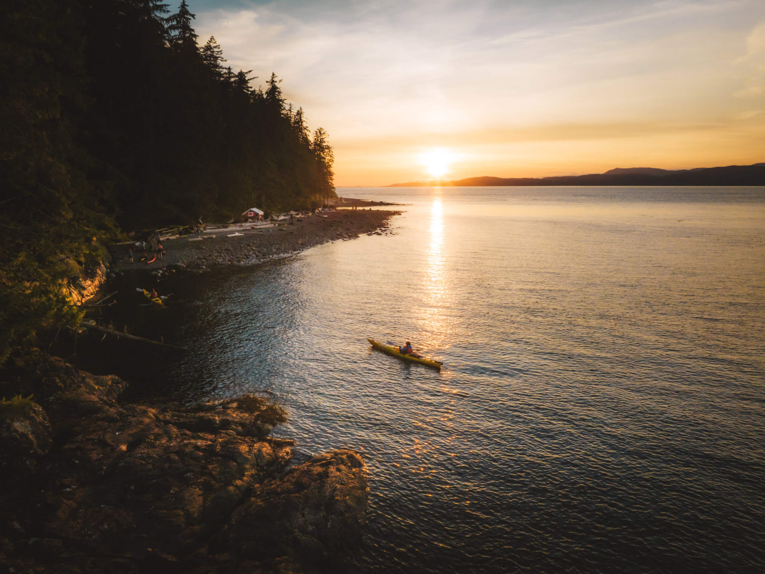 Whales & Bears Kayaking Tour-2