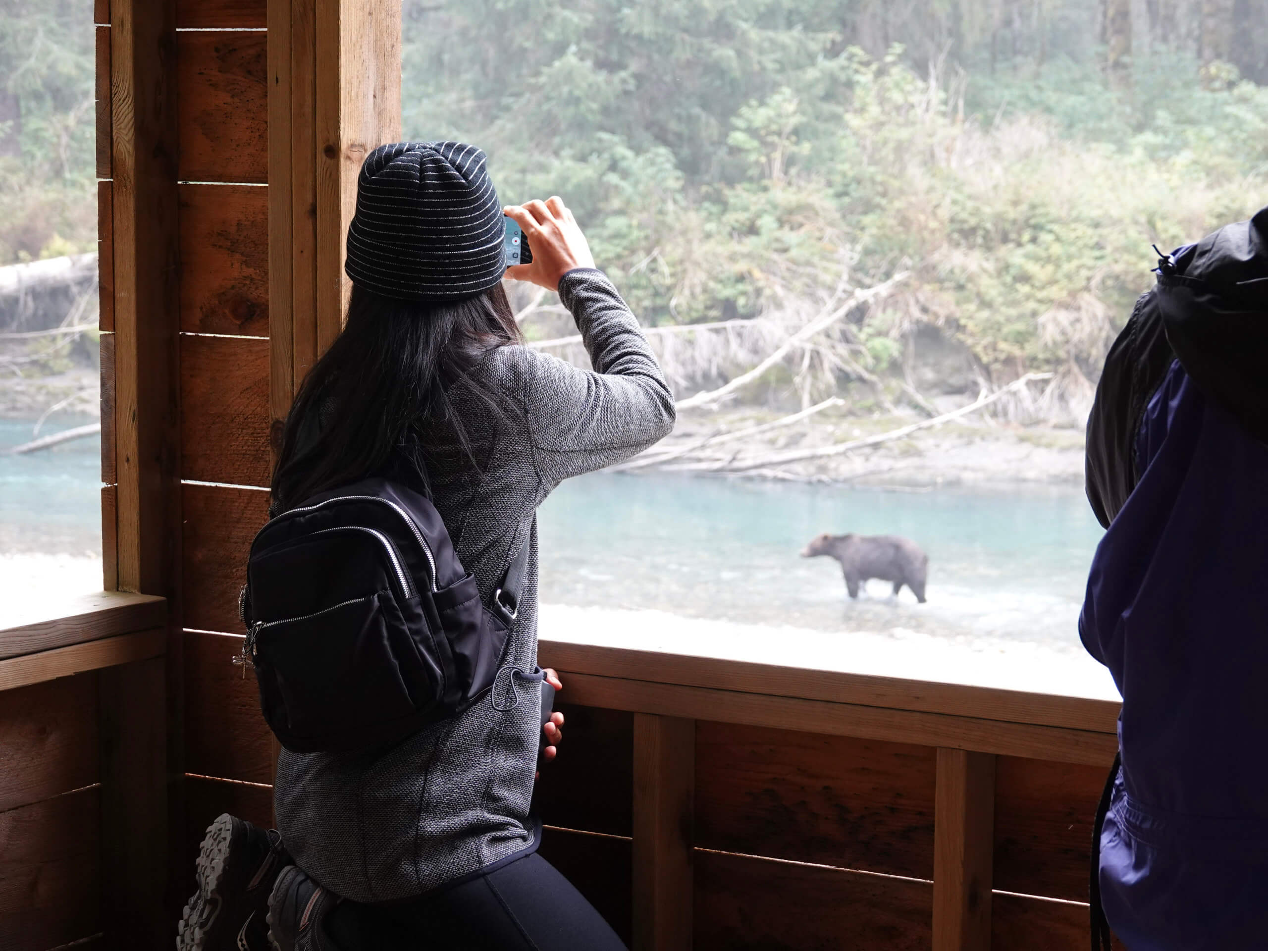 Whales & Bears Kayaking Tour-3