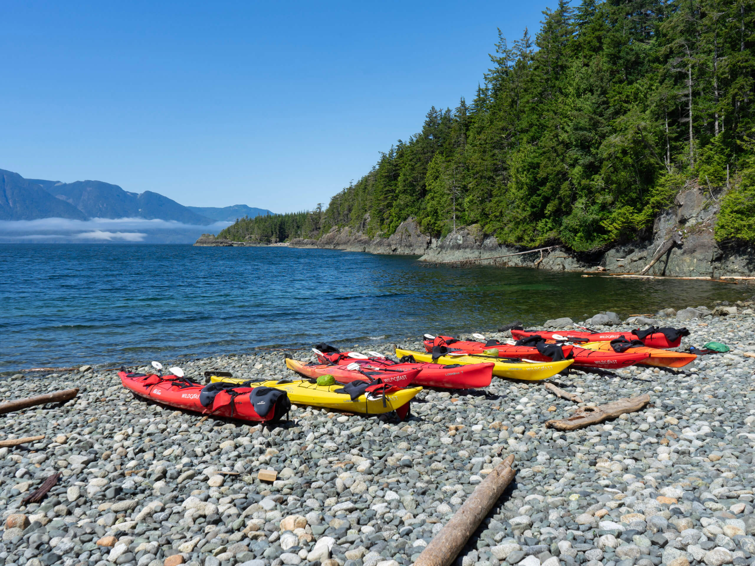 Whales & Bears Kayaking Tour-6