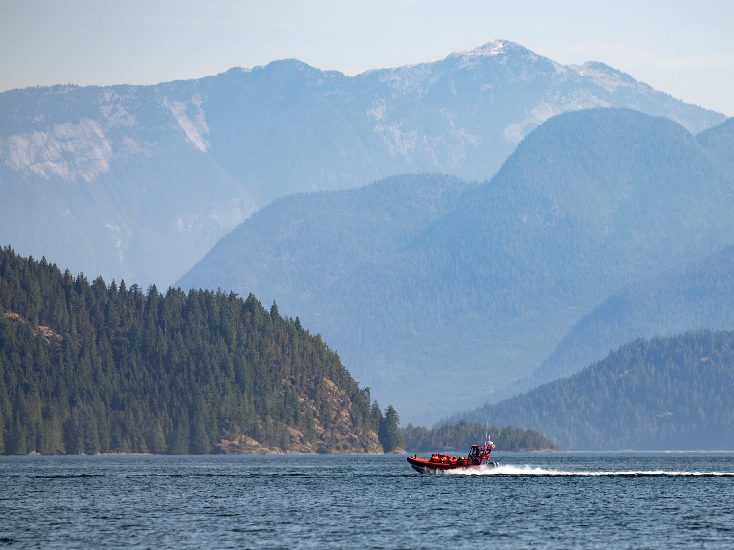 Whales & Wilderness Kayaking Tour-2