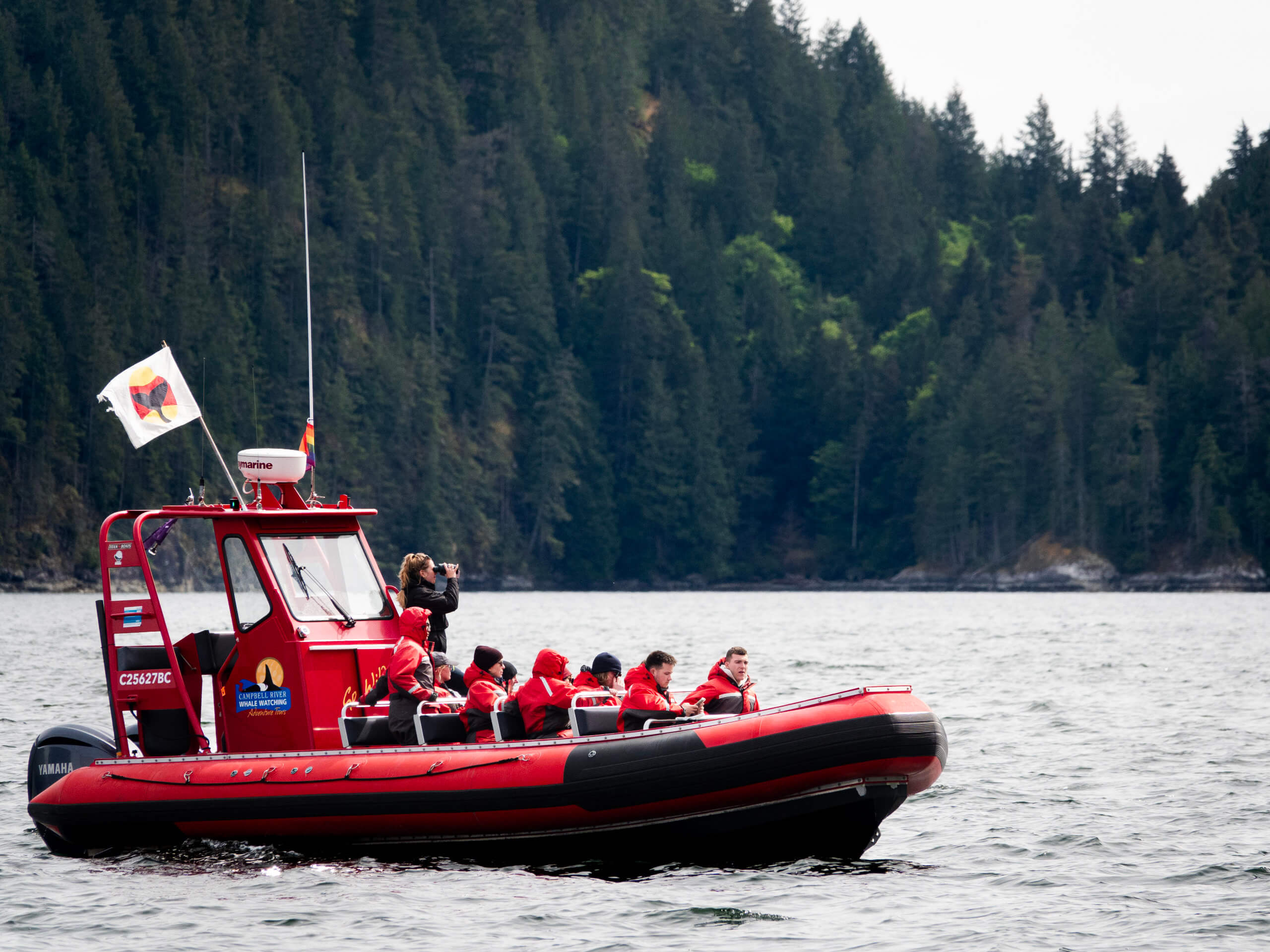 Whales & Wilderness Kayaking Tour-3